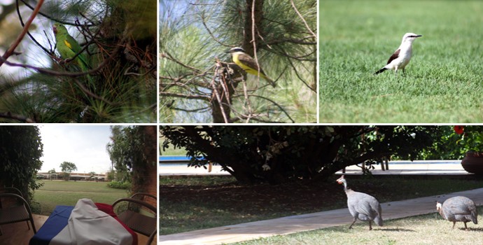 [COPA 2014]França foge da badalação e opta por resort com ar caipira durante a Copa