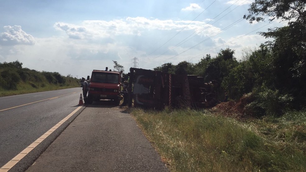 Caminhão carregado com bois tombou em Martinópolis (Foto: Paula Sieplin/TV Fronteira)