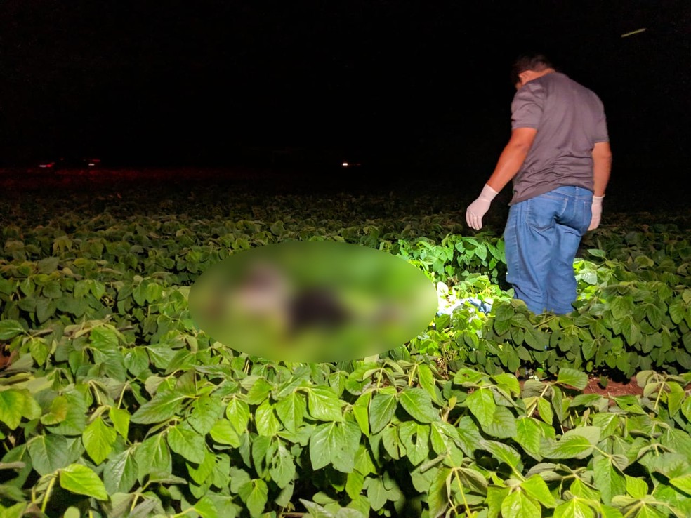 Vítima foi encontrada morta em área de mata em Sorriso (MT) — Foto: Divulgação