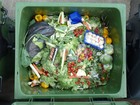 Contra desperdício, jovens alemães promovem uso de 'alimentos feios'