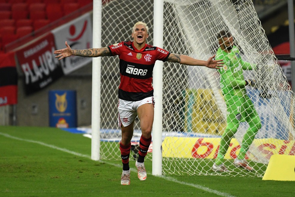 Pedro comemora gol do Flamengo contra o Palmeiras — Foto: André Durão