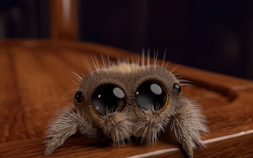 spider (【Substantivo】aranha ) Significado, Uso e Leitura