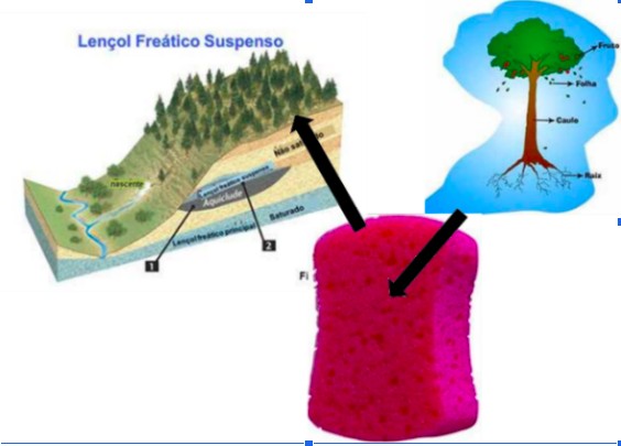 Imagem ilustrativa sobre o papel das florestas e dos serviços ambientais na conservação de água (Foto: TNC Brasil)