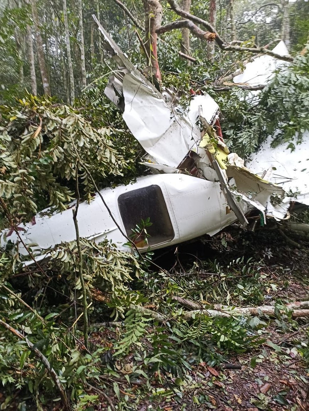 Avião caiu em área de mata no interior do estado  — Foto: Divulgação