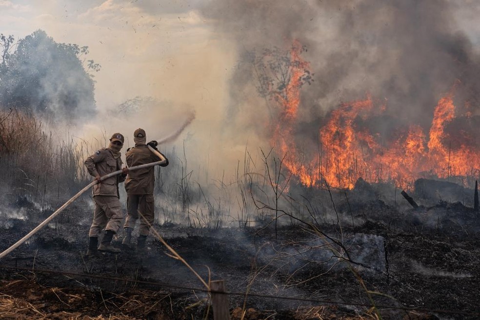 Dinheiro será utilizado para combater queimadas em MT. — Foto: Corpo de Bombeiros