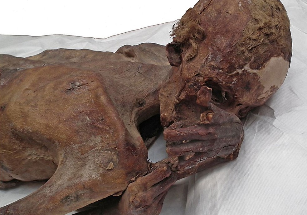 A múmia do homem, que tinha entre 18 e 21 anos quando morreu, tem no braço dois desenhos sobrepostos de animais (Foto: Museu Britânico/Divulgação)