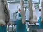Técnicos russos avaliam frigoríficos de aves, bovinos e suínos do RS