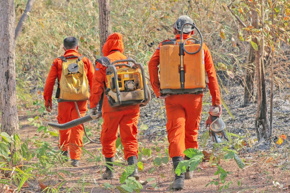 Força-tarefa intensifica combate ao fogo na Serra do Lajeado — Foto: Luiz Henrique Machado/Corpo de Bombeiros