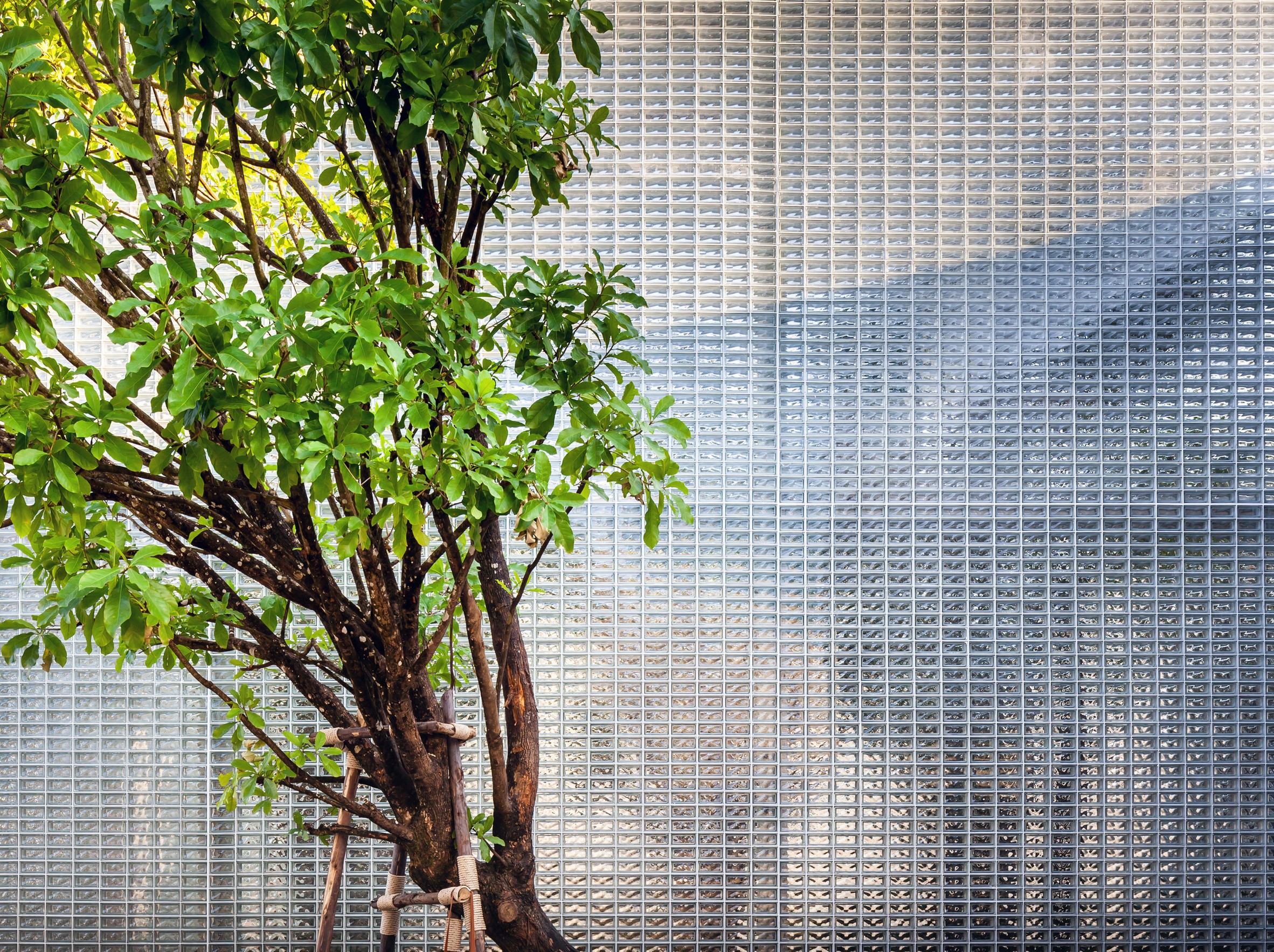 Arquitetos projetam jardim "secreto" em casa de vidro (Foto: Divulgação)