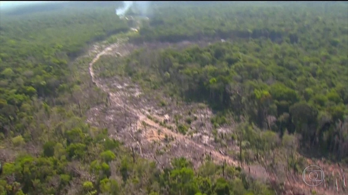 Precisão das imagens do Inpe sobre desmatamento é superior a 90%, dizem pesquisadores