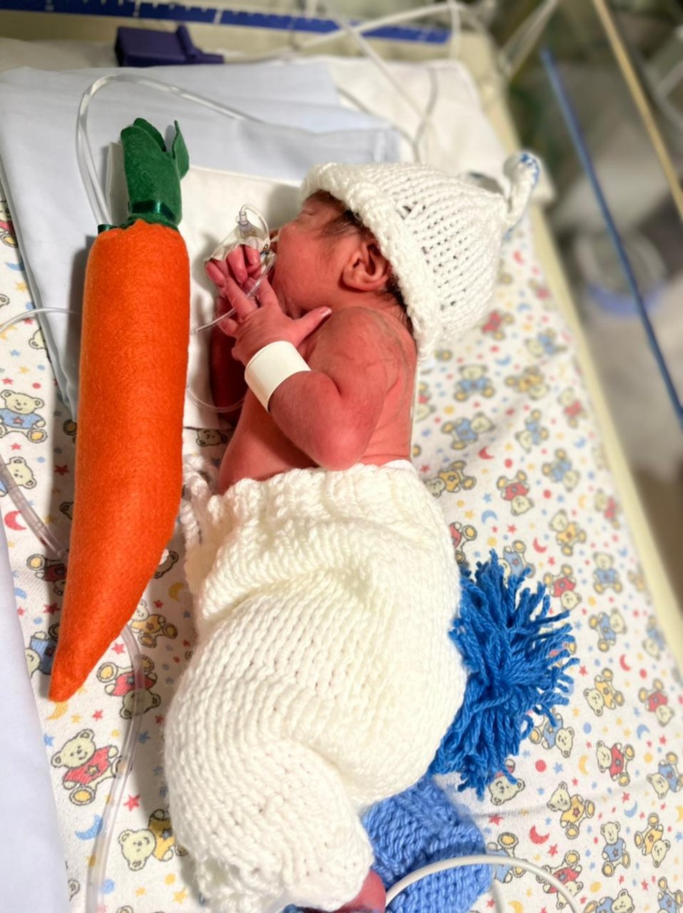Bebês da UTI neonatal são vestidos de coelhos — Foto: Hospital Divina Providência / Divulgação