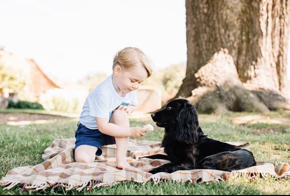 George e o cãozinho protegidos pela sombra (Foto: Reprodução - Instagram)