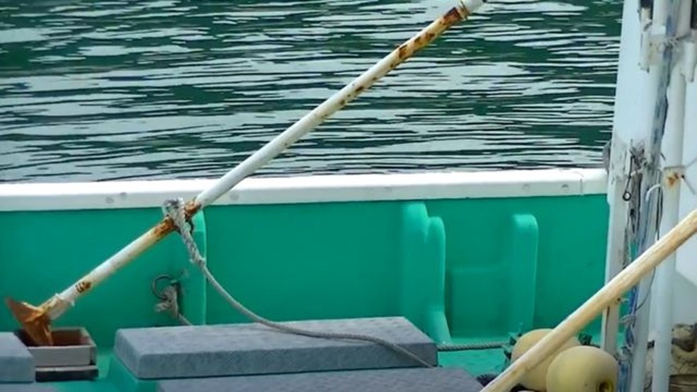 Hastes de ferro colocadas na água e usadas para causar tortura sonora nos golfinhos ao serem marteladas do lado de fora da água — Foto: SEA SHEPHERD via BBC