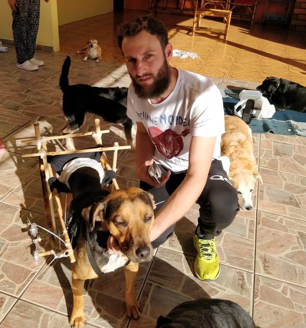 Segundo o engenheiro, foi gratificante ver a cadeira funcionando e o Faísca brincando — Foto: Lucas Donaduzzi/Arquivo pessoal