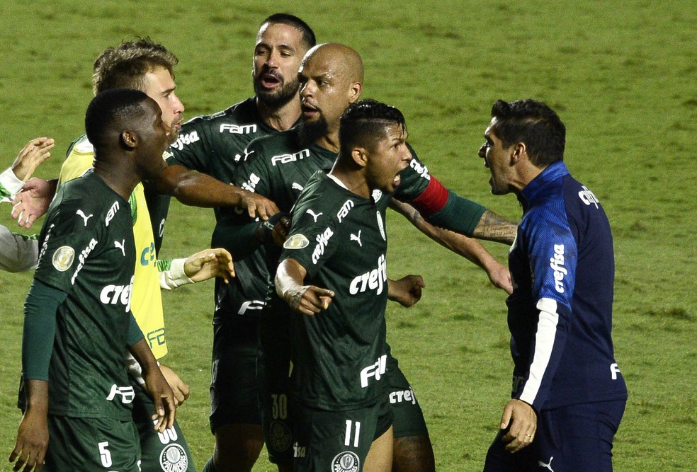 Jogadores comemoram gol de Rony com Abel Ferreira — Foto: Marcos Ribolli