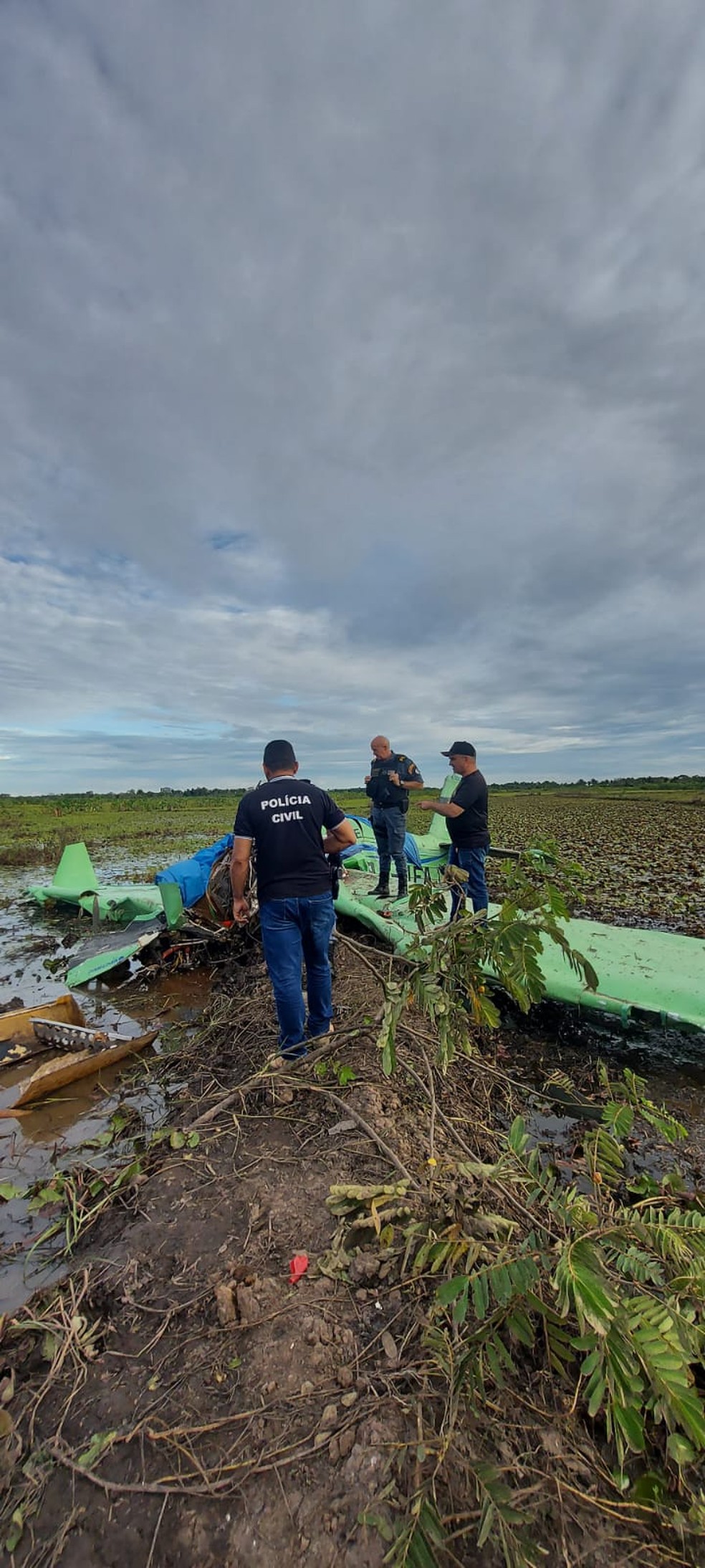 Piloto morre após queda de avião agrícola na zona rural de Arari, no MA — Foto: Foto: divulgação