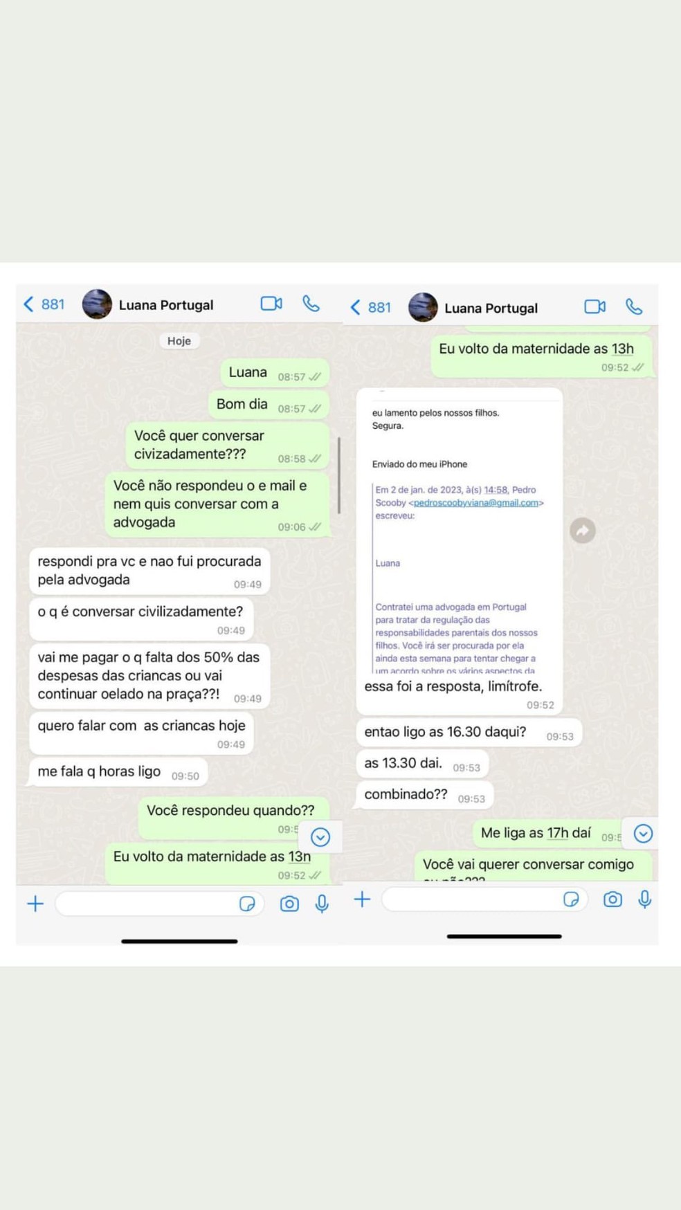 Pedro Scooby expõe conversas com Luana Piovani — Foto: Reprodução Instagram
