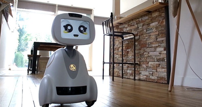 Robô pode interagir com pessoas da família e ajudar em tarefas (Foto: Reprodução/Indiegogo)