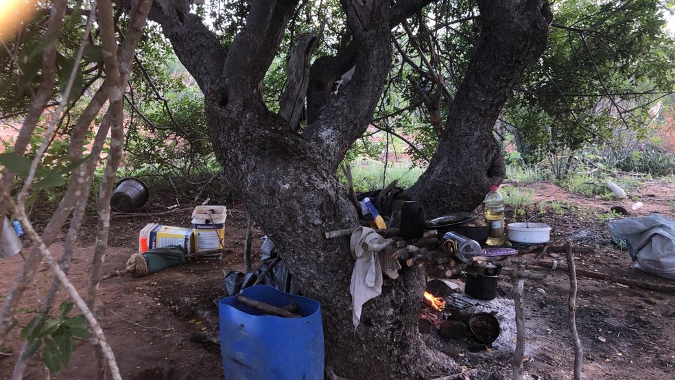 Homens que estavam fazendo a irrigação da plantação de maconha, em Mata Grande, conseguiram fugir ao trocar tiros com a polícia — Foto: SSP/AL