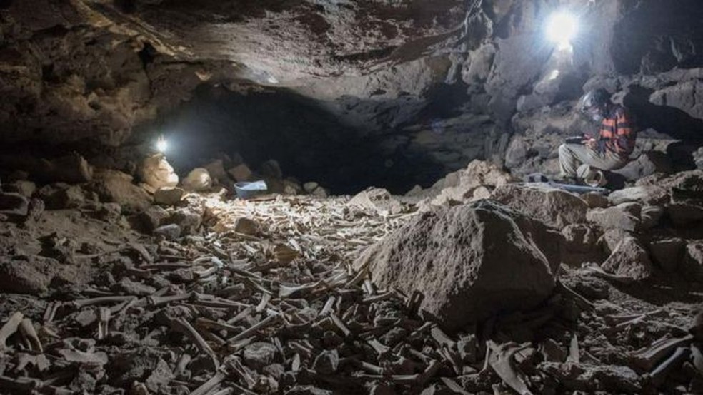 Segundo arqueológos, são centenas de milhares de ossos que pertencem a pelo menos 14 tipos de animais e até humanos — Foto: Archeological and anthropological sciences/Via BBC