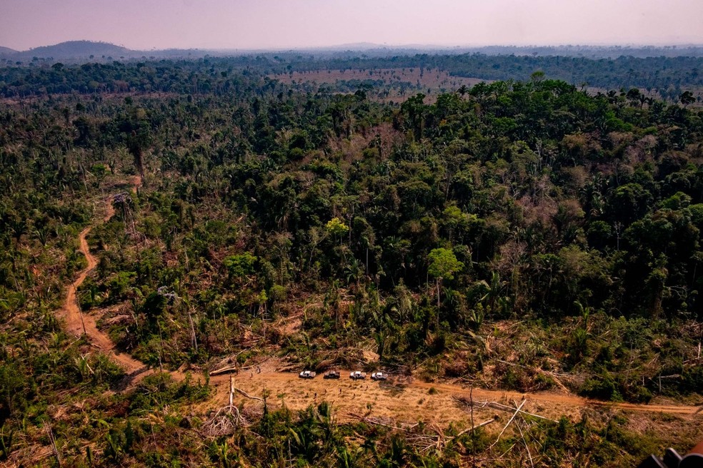 Colniza foi o município com maior área de floresta desmatada em Mato Grosso em 2019 — Foto: Marcos Vergueiro/SECOMMT