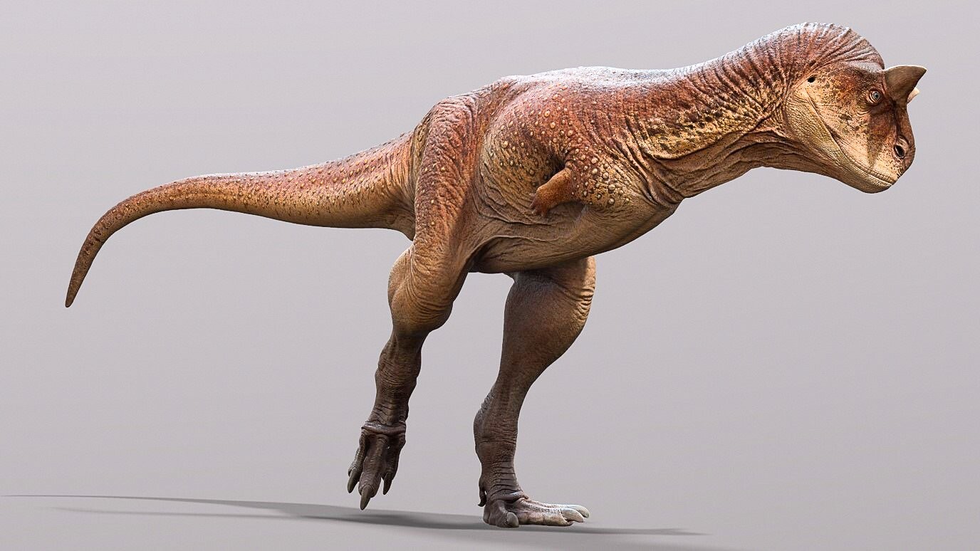 Descoberto novo dinossauro parecido com T-Rex; nome homenageia