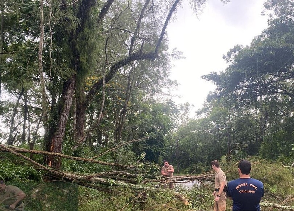Temporal atingiu Criciúma na quarta-feira — Foto: Defesa Civil de Criciúma/ Divulgação