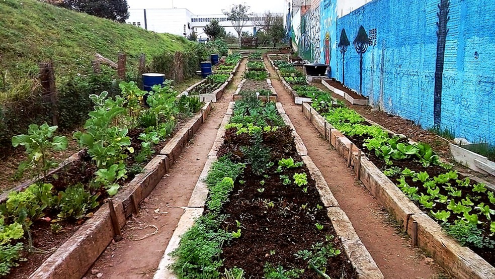 A horta comunitária situada no bairro Cajuru, em Curitiba, foi inaugurada no mês de julho de 2017 (Foto: Manoel Silva)