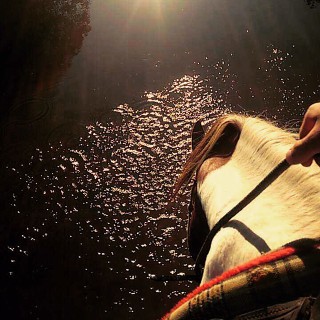 O cavalo do @pedro_hc23 atravessando um rio em Goiás