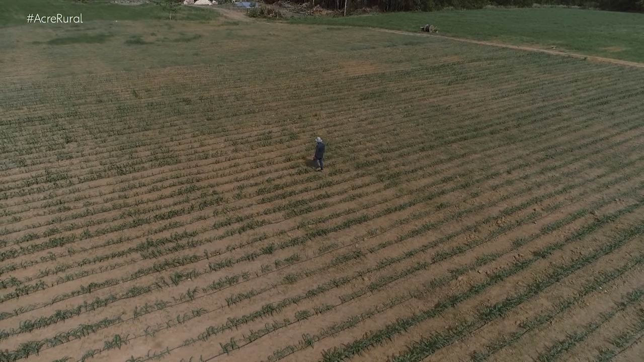 VÍDEOS: Acre Rural deste domingo, 13 de novembro 