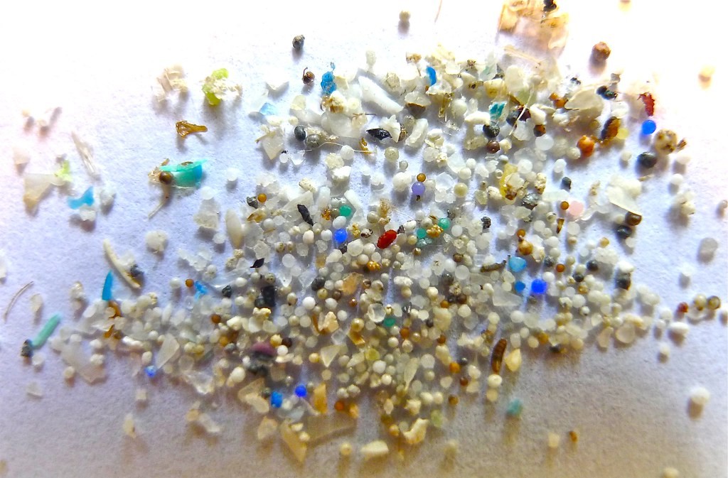 Pesquisadores norte-americanos encontram microplásticos em tecidos humanos (Foto: Flickr/OregonStateUniversity)