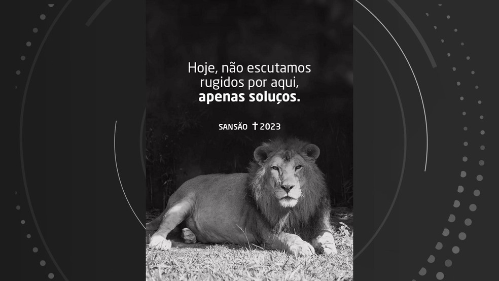 Sansão morreu em decorrência de problemas no cardíacos — Foto: Reprodução/Redes sociais