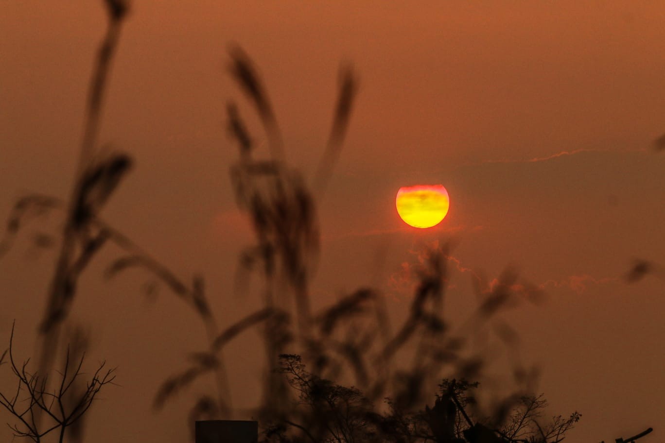 Sipam prevê domingo (13) com céu nublado a encoberto em todo o Acre