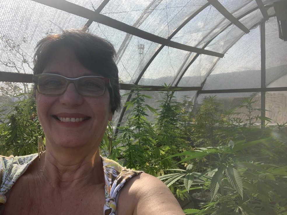 Mulher reduz tumor no c&eacute;rebro ao criar estufa de maconha dentro de casa em  SP | Mais Sa&uacute;de | G1