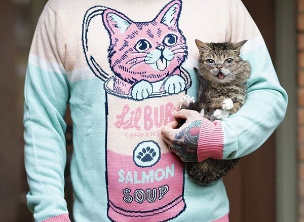 Lil Bub promovendo um suéter feito com a sua marca  (Foto: Instagram)