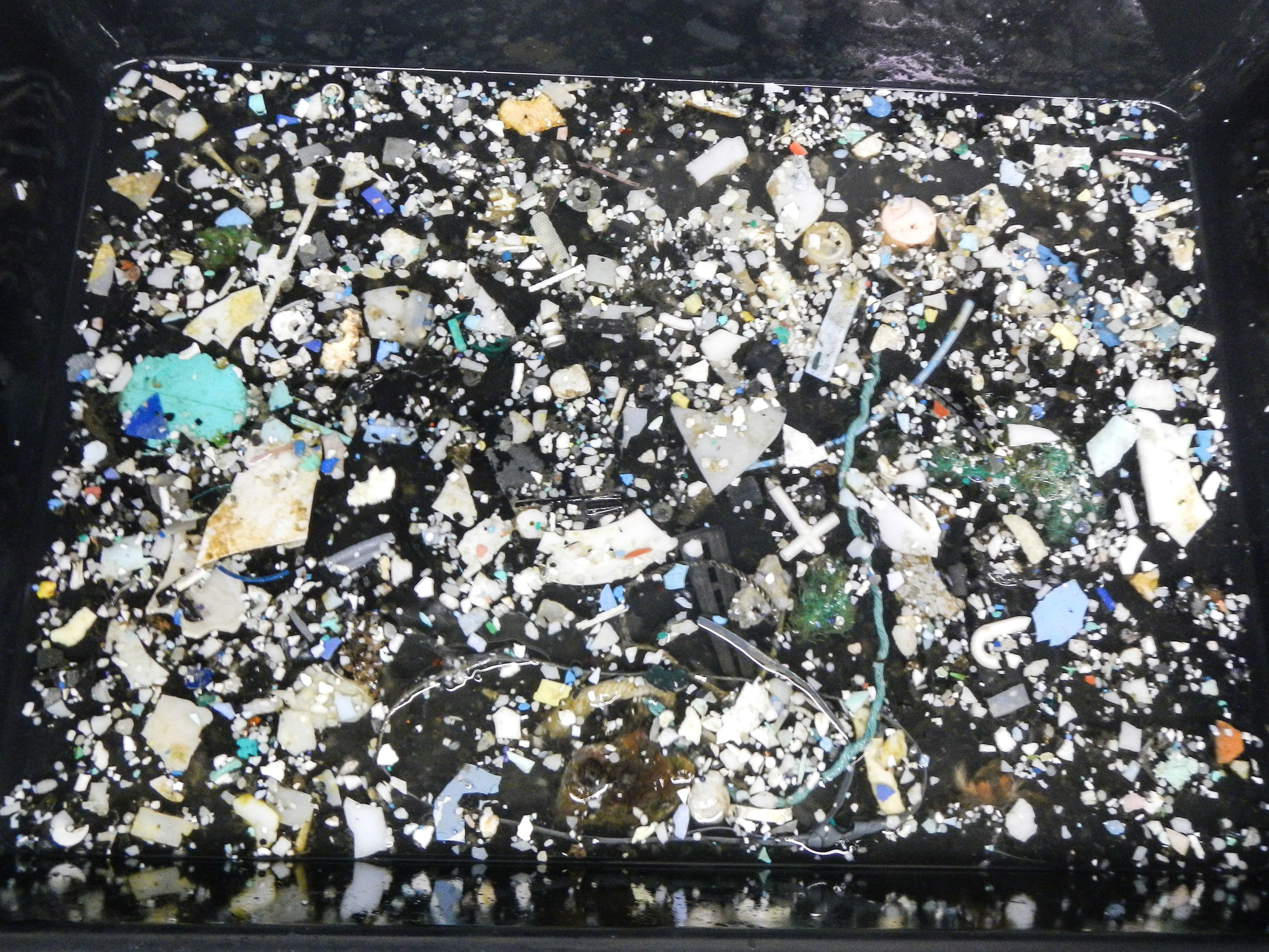 Detritos acumulados no oceano (Foto: Divulgação/The Ocean Cleanup)