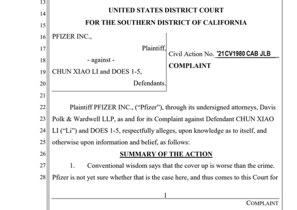 Denúncia da Pfizer contra ex-funcionária em um tribunal de San Diego, Califórnia — Foto: Reprodução