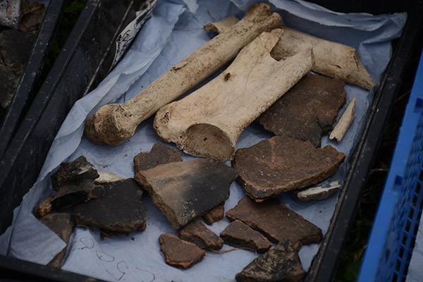 Cerâmica e ossos descobertos em assentamento da Idade do Ferro  (Foto: Universidade de Bournemouth )