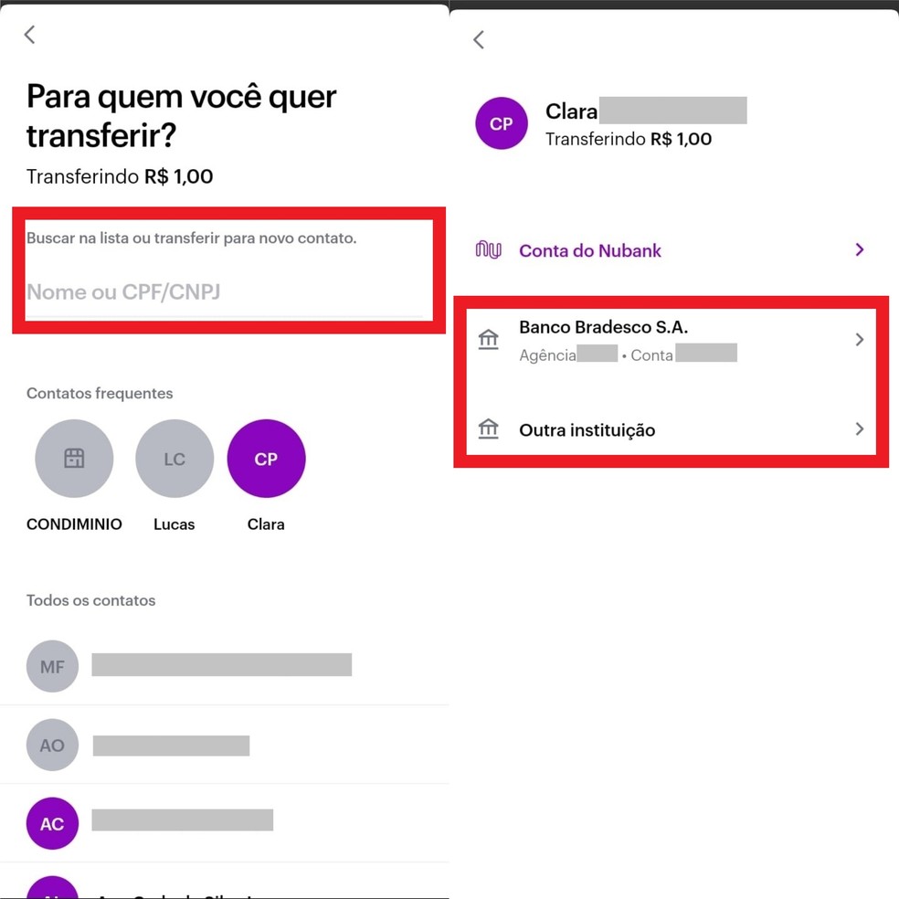 Insira o nome, CPF, CNPJ ou e-mail da pessoa ou empresa e toque sobre a instituição bancária — Foto: Reprodução/Clara Fabro