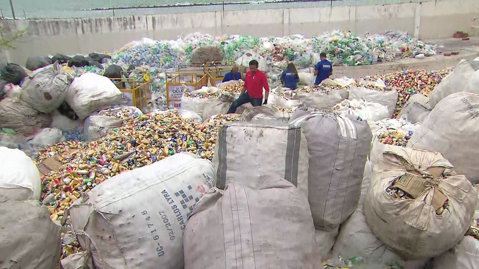 Catadores percorreram Olinda recolhendo latinhas e produtos recicláveis durante o carnaval (Foto: Reprodução/TV Globo)
