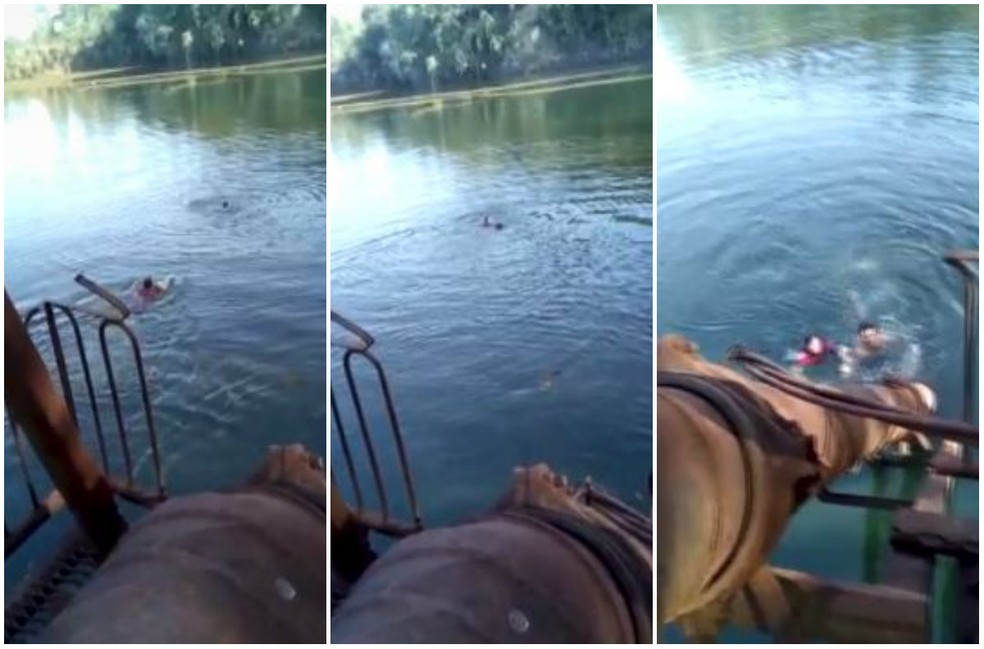 Veterinária resgata cão em represa em Matão (Foto: Arquivo Pessoal)