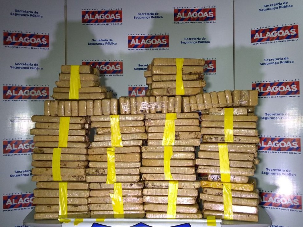 DRN apreendeu mais de 2,5 toneladas em opera&ccedil;&otilde;es realizadas em Alagoas neste ano (Foto: Nat&aacute;lia Normande/G1)