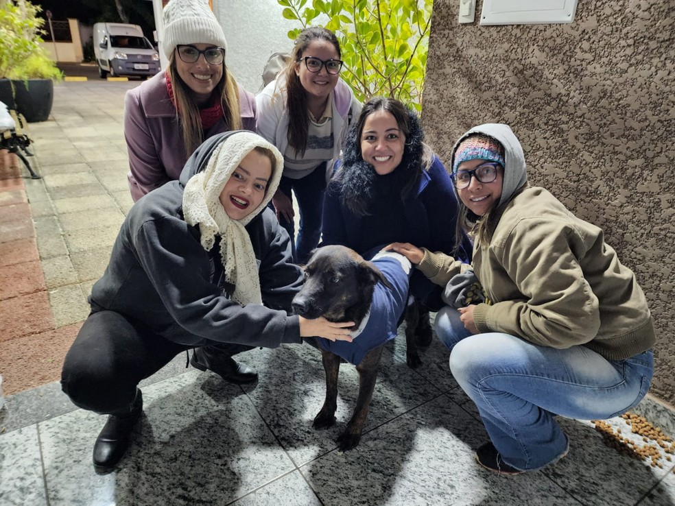 ONG distribui agasalhos para animais de rua em Itapetininga — Foto: UIPA/ Divulgação 