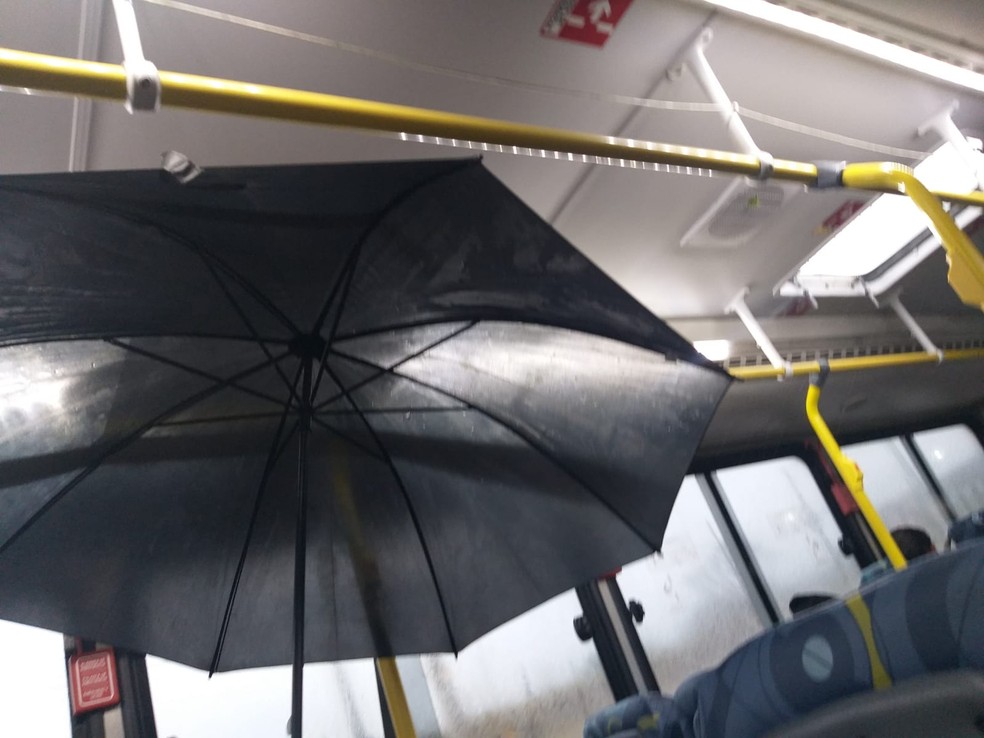 Pedaço do teto de ônibus caiu em meio a tempo chuvoso, nesta quinta-feira (18) — Foto: Divani Maria Cardoso