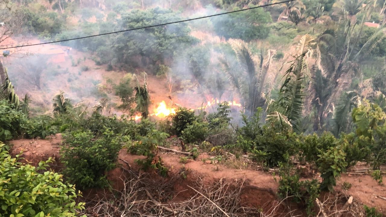 Incêndio atinge área de vegetação em Barbalha, no sul do Ceará