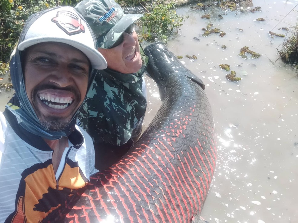 Pescador esportivo fisga pirarucu de 150 kg em MT — Foto: Reprodução