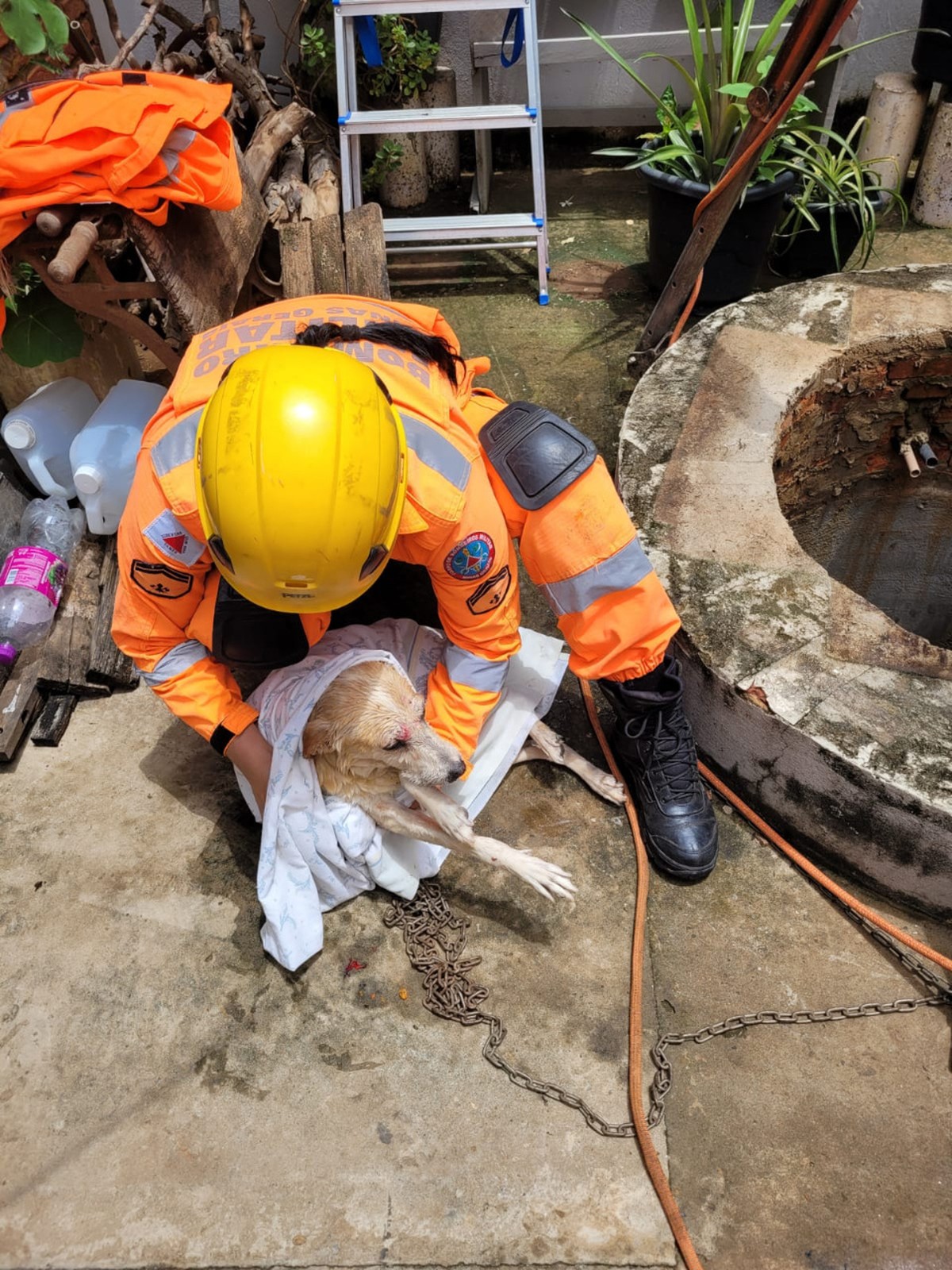 Cachorro é resgatado após cair dentro de cisterna de 10 metros de profundidade em Montes Claros 