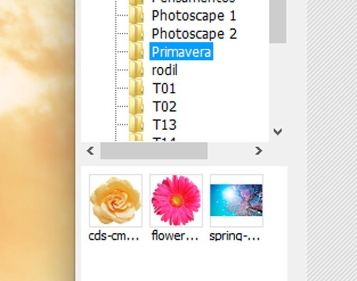 Como Colocar Uma Foto Em Cima Da Outra No Photoscape Dicas E Tutoriais Techtudo