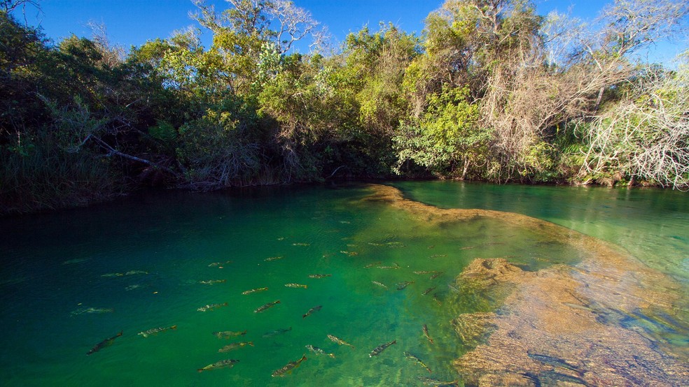 Balneário Municipal (Bonito - MS) — Foto: Daniel De Granville/Arquivo Pessoal