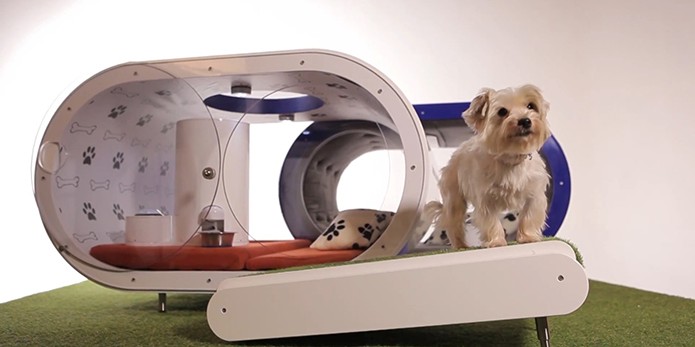 Samsung projeta casinha de cachorro tecnológica, com preço assustador (Foto: Divulgação/Samsung)